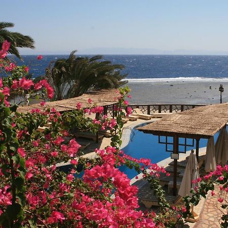 Nesima Resort Dahab Exterior foto